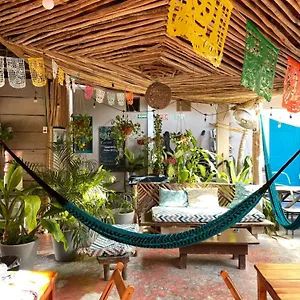 Auberge de jeunesse Barco, Holbox